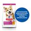 10 kg Hill's Science Plan Adult Small y Mini Pollo pienso para perros, , large indicador imagen numero 5